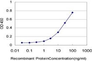 Detection limit for recombinant GST tagged HRSP12 is approximately 3ng/ml as a capture antibody. (HRSP12 antibody  (AA 1-137))