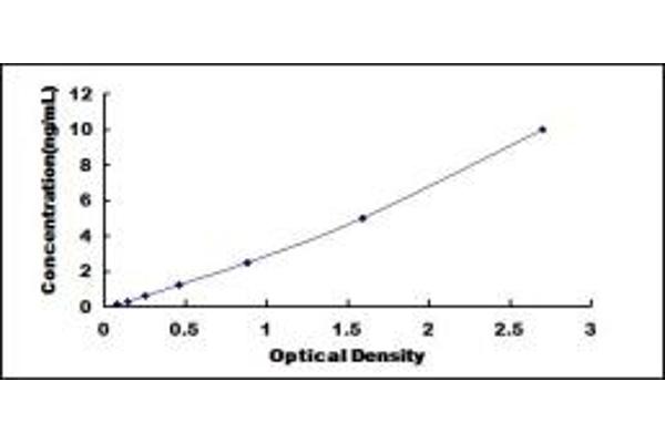 PDE12 ELISA Kit