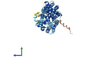 AlphaFold protein structure predicition of Human Recombinant SLC2A7 Protein, UniprotID Q6PXP3