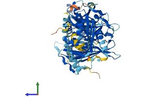 AlphaFold protein structure predicition of Mouse Recombinant Acot12 Protein, UniprotID Q9DBK0 (ACOT12 Protein (AA 1-556) (His tag))