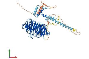 Protein Structure (PS) image for Transducin (Beta)-Like 1X-Linked (TBL1X) (AA 1-577) protein (His tag) (ABIN7544328)