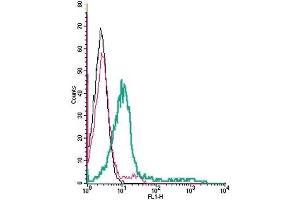 Cell surface detection of D3 Dopamine Receptor by indirect flow cytometry in live intact human Jurkat T-cell leukemia cells: (black line) Cells. (DRD3 antibody  (Extracellular, N-Term))