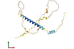 Protein Structure (PS) image for BCL2 Binding Component 3 (BBC3) (AA 1-193) protein (His tag) (ABIN7552527)