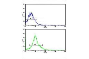 Flow Cytometry (FACS) image for anti-Autocrine Motility Factor Receptor (AMFR) (AA 571-601) antibody (ABIN3030083)