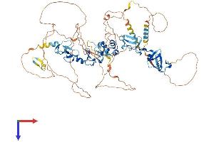 ABLIM1 Protein (AA 1-778) (His tag)