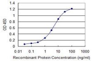 Detection limit for recombinant GST tagged FNDC4 is 0. (FNDC4 antibody  (AA 45-154))