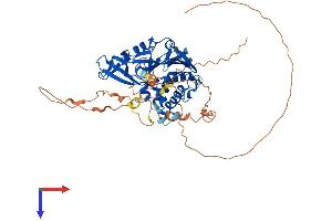 AlphaFold protein structure predicition of Human Recombinant USP17L4 Protein, UniprotID A6NCW7 (USP17L4 Protein (AA 1-530) (His tag))