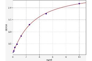 Typical standard curve