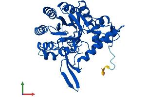 AlphaFold protein structure predicition of Human Recombinant GMPR2 Protein, UniprotID Q9P2T1 (GMPR2 Protein (AA 1-348) (His tag))