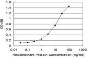 Detection limit for recombinant GST tagged CSPG6 is approximately 0. (SMC3 antibody  (AA 711-810))