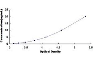 Typical standard curve (DYNC1H1 ELISA Kit)