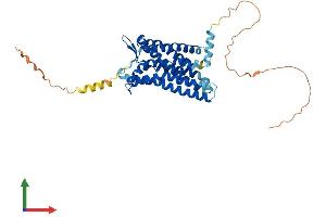 AlphaFold protein structure predicition of Mouse Recombinant Gpr182 Protein, UniprotID P43142