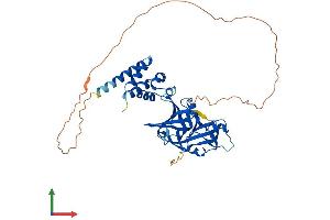 AlphaFold protein structure predicition of Human Recombinant MNDA Protein, UniprotID P41218 (MNDA Protein (AA 1-407) (His tag))
