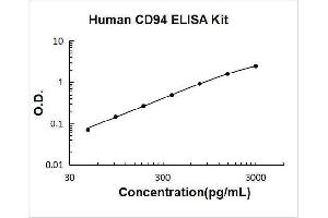Killer Cell Lectin-Like Receptor Subfamily D, Member 1 (KLRD1) ELISA Kit