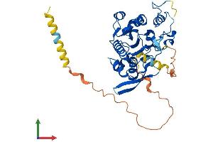 AlphaFold protein structure predicition of Mouse Recombinant Lfng Protein, UniprotID O09010