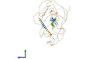 AlphaFold protein structure predicition of Mouse Recombinant Nrg3 Protein, UniprotID O35181 (Neuregulin 3 Protein (NRG3) (AA 1-713) (His tag))