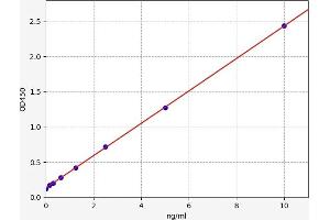 Chemokine (C-X-C Motif) Ligand 12 (CXCL12) ELISA Kit