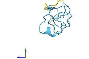 AlphaFold protein structure predicition of Human Recombinant MT1F Protein, UniprotID P04733 (MT1F Protein (AA 1-61) (Fc Tag))