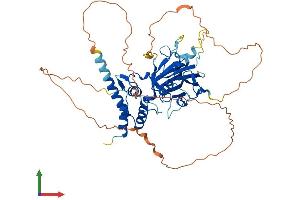 AlphaFold protein structure predicition of Human Recombinant SMAD6 Protein, UniprotID O43541