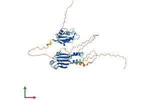 Protein Structure (PS) image for Interferon Regulatory Factor 4 (IRF4) (AA 1-450) protein (His tag) (ABIN7557820)
