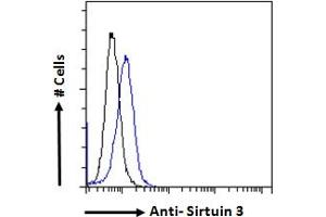 ABIN768568 Flow cytometric analysis of paraformaldehyde fixed NIH3T3 cells (blue line), permeabilized with 0. (SIRT3 antibody  (Internal Region))