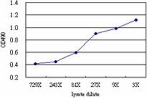 Sandwich ELISA detection sensitivity ranging from approximately 81x to 3x dilution of the RNH1 293T overexpression lysate (non-denatured). (RNH1 (Human) Matched Antibody Pair)