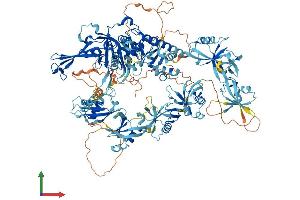 AlphaFold protein structure predicition of Human Recombinant USP40 Protein, UniprotID Q9NVE5 (USP40 Protein (AA 1-1235) (His tag))