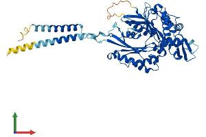 AlphaFold protein structure predicition of Human Recombinant ENTPD1 Protein, UniprotID P49961 (CD39 Protein (AA 1-510) (His tag))