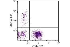 Porcine peripheral blood lymphocytes were stained with Mouse Anti-Porcine CD21-AF647. (CD21 antibody  (FITC))