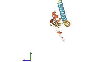 AlphaFold protein structure predicition of Mouse Recombinant Phxr4 Protein, UniprotID P15974