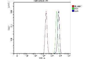 Flow Cytometry analysis of THP-1 cells using anti-Ezrin/EZR antibody (ABIN7603214).