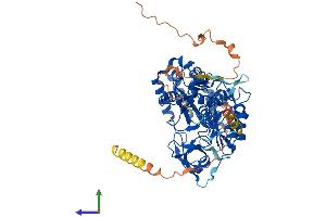 Protein Structure (PS) image for CDK5 Regulatory Subunit Associated Protein 1-Like 1 (CDKAL1) (AA 1-579) protein (His tag) (ABIN7553339)
