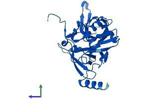 Protein Structure (PS) image for Ribosomal Protein S4, Y-Linked 1 (RPS4Y1) (AA 1-263) protein (His tag) (ABIN7551575)