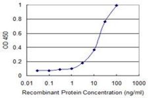 Detection limit for recombinant GST tagged PCDHGC3 is 1 ng/ml as a capture antibody. (Protocadherin gamma Subfamily C, 3 (PCDHGC3) (AA 1-934) antibody)