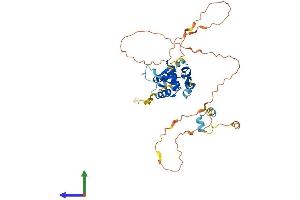 AlphaFold protein structure predicition of Human Recombinant FOXH1 Protein, UniprotID O75593 (FOXH1 Protein (AA 1-365) (His tag))