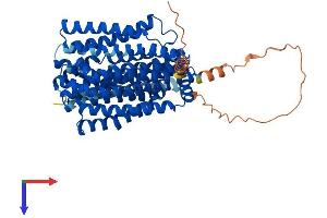 AlphaFold protein structure predicition of Mouse Recombinant Slc47a1 Protein, UniprotID Q8K0H1 (SLC47A1 Protein (AA 1-567) (His tag))