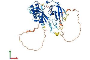 AlphaFold protein structure predicition of Human Recombinant SHARPIN Protein, UniprotID Q9H0F6 (SHARPIN Protein (AA 1-387) (His tag))