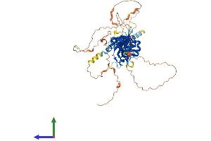 AlphaFold protein structure predicition of Mouse Recombinant Npas1 Protein, UniprotID P97459 (NPAS1 Protein (AA 1-594) (His tag))