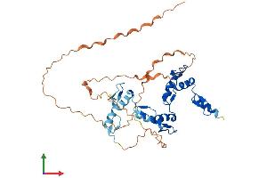 AlphaFold protein structure predicition of Human Recombinant GLI4 Protein, UniprotID P10075 (GLI4 Protein (AA 1-376) (His tag))