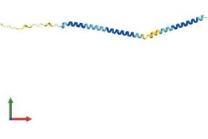 AlphaFold protein structure predicition of Human Recombinant MRFAP1 Protein, UniprotID Q9Y605