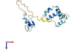 AlphaFold protein structure predicition of Human Recombinant ZNHIT3 Protein, UniprotID Q15649 (ZNHIT3 Protein (AA 1-155) (His tag))