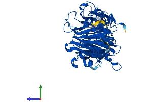 Protein Structure (PS) image for Homogentisate 1,2-Dioxygenase (HGD) (AA 1-445) protein (His tag) (ABIN7548254)