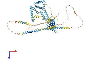 AlphaFold protein structure predicition of Mouse Recombinant Gramd4 Protein, UniprotID Q8CB44 (GRAMD4 Protein (AA 1-633) (His tag))