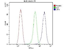 Flow Cytometry analysis of Hela cells using anti-CPM antibody (ABIN4886547). (CPM antibody  (C-Term))