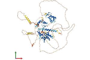Protein Structure (PS) image for Interferon Regulatory Factor 2 Binding Protein-Like (IRF2BPL) (AA 1-775) protein (His tag) (ABIN7559556)