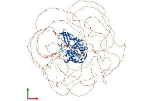 AlphaFold protein structure predicition of Human Recombinant USP42 Protein, UniprotID Q9H9J4 (USP42 Protein (AA 1-1324) (His tag))