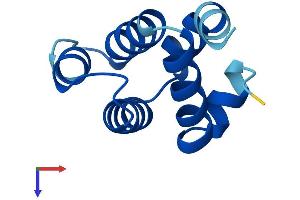 AlphaFold protein structure predicition of Human Recombinant CARD18 Protein, UniprotID P57730 (CARD18 Protein (AA 1-90) (His tag))