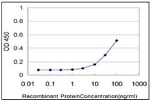 ELISA image for anti-Netrin G2 (NTNG2) (AA 21-120) antibody (ABIN614733) (Netrin G2 antibody  (AA 21-120))