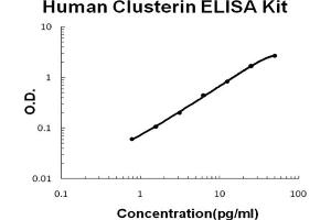 Human Clusterin Accusignal ELISA Kit Human Clusterin AccuSignal ELISA Kit standard curve. (Clusterin ELISA Kit)