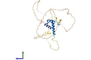 AlphaFold protein structure predicition of Human Recombinant HOXA1 Protein, UniprotID P49639